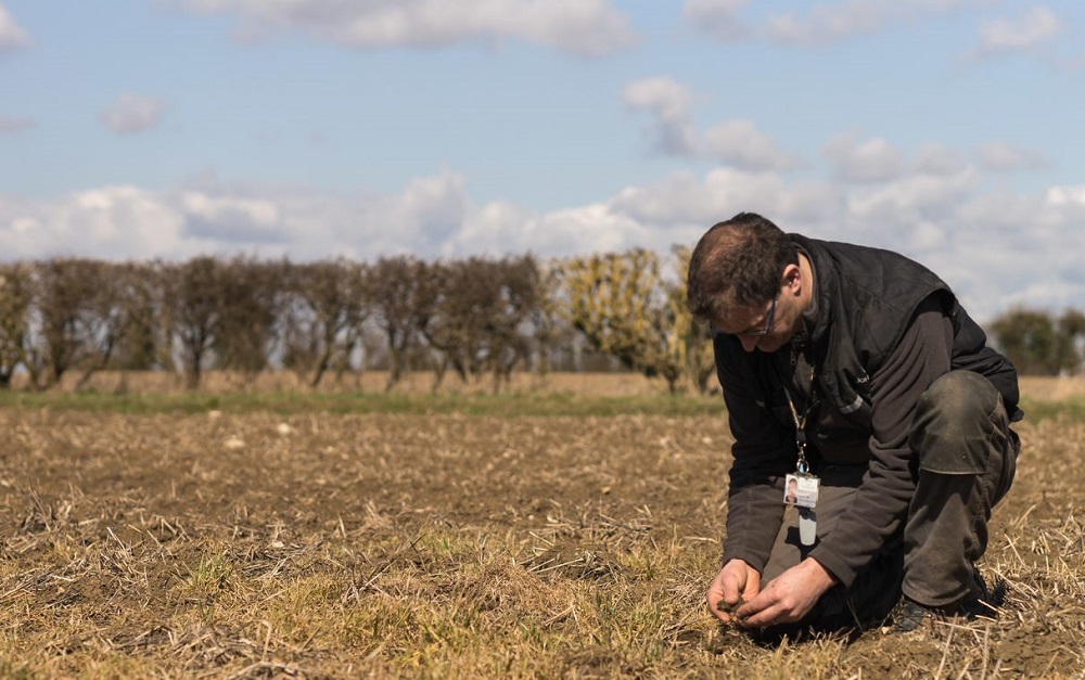 a man kneeling in a field